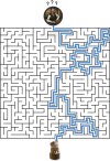 Labyrinth_Task copy2.jpg