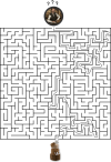 Labyrinth_Task_BC.png